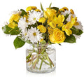 Sunny Harmony Arrangement