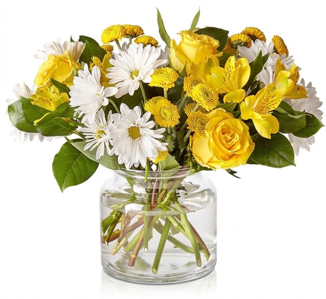 Sunny Harmony Arrangement