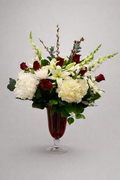 12 Premium Red Roses & Hydrangea Arrangement in Red Glass Vase