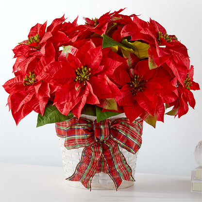 Les plus belles fêtes de fin d'année Poinsettia