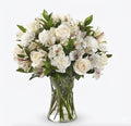 Pure Grace White Rose